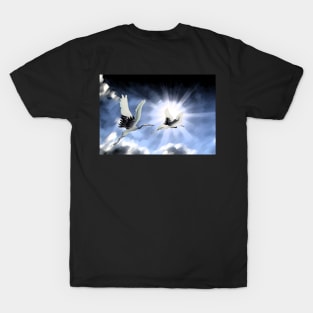 Towards The Light T-Shirt